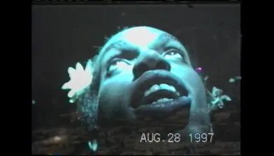 The life of Sean Delear